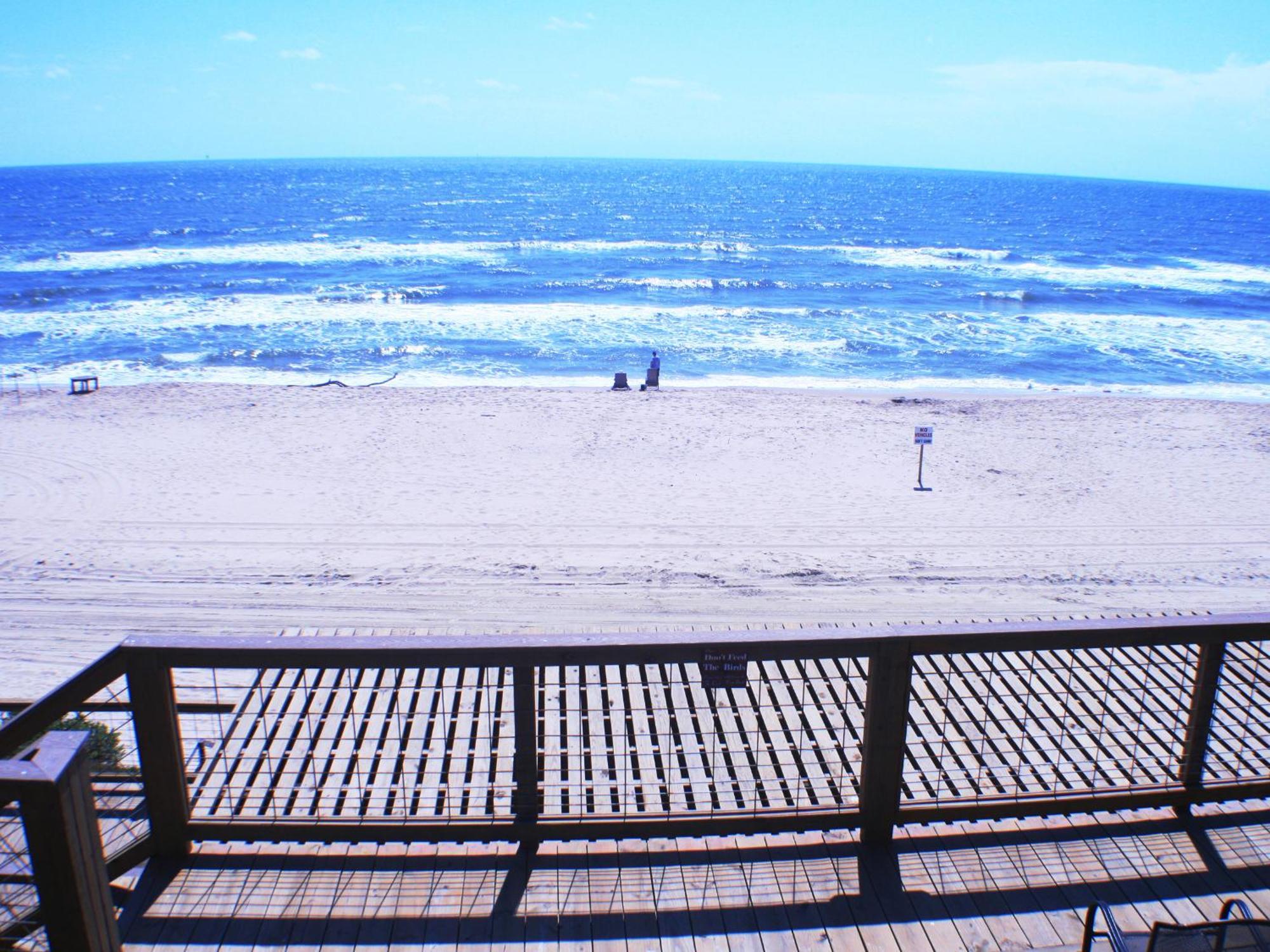 סרפסייד ביץ' Ocean Village Hotel מראה חיצוני תמונה
